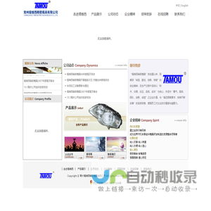 常州堤维西精密模具有限公司